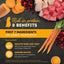 ACANA chicken and tuna wet cat food featuring protein-rich ingredients like chicken, tuna, berries, and carrots