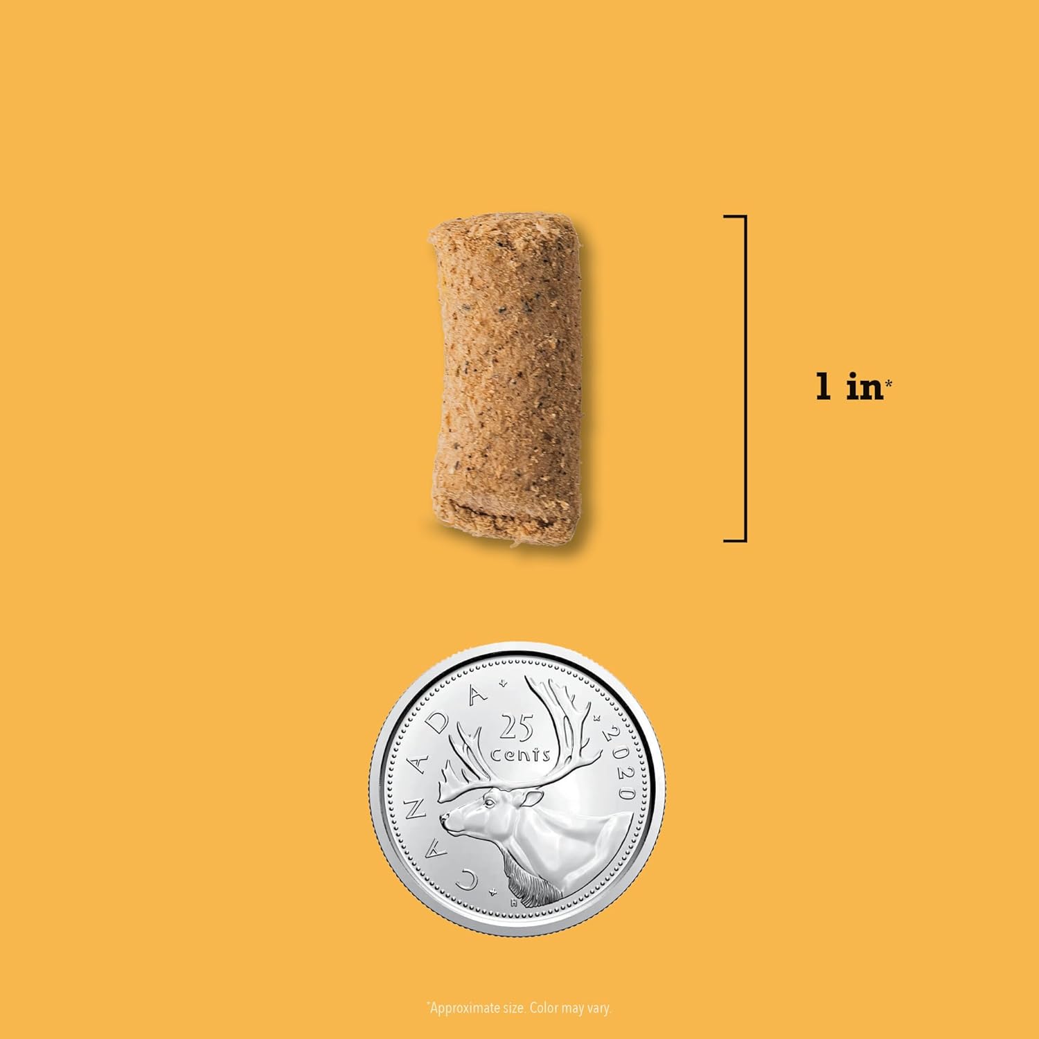 Acana Freeze-Dried Dog Food showing a single piece size compared to a Canadian coin for scale