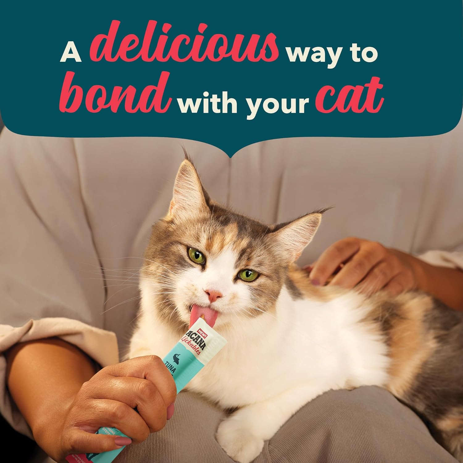 Acana immune support cat treats being fed to a happy cat for healthy bonding moments