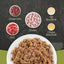 ACANA kitten wet cat food featuring a mix of chicken, tuna, and nutrient-rich broths