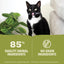 ACANA kitten wet cat food featuring a black and white cat with 85 percent animal ingredients