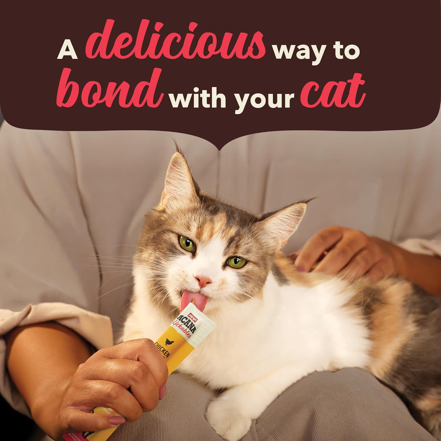 Talis Us healthy digestion cat treats in use, promoting bonding between owners and cats