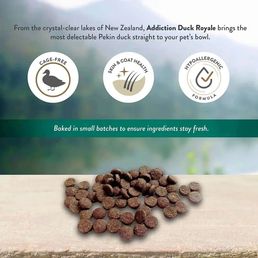 Addiction Grain - Free Duck Royale Dry Cat Food 4lb - Talis Us