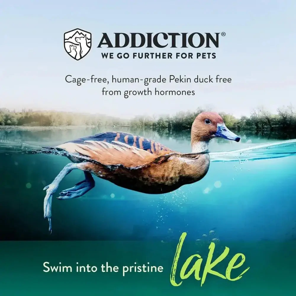 Addiction Grain - Free Duck Royale Dry Cat Food 4lb - Talis Us