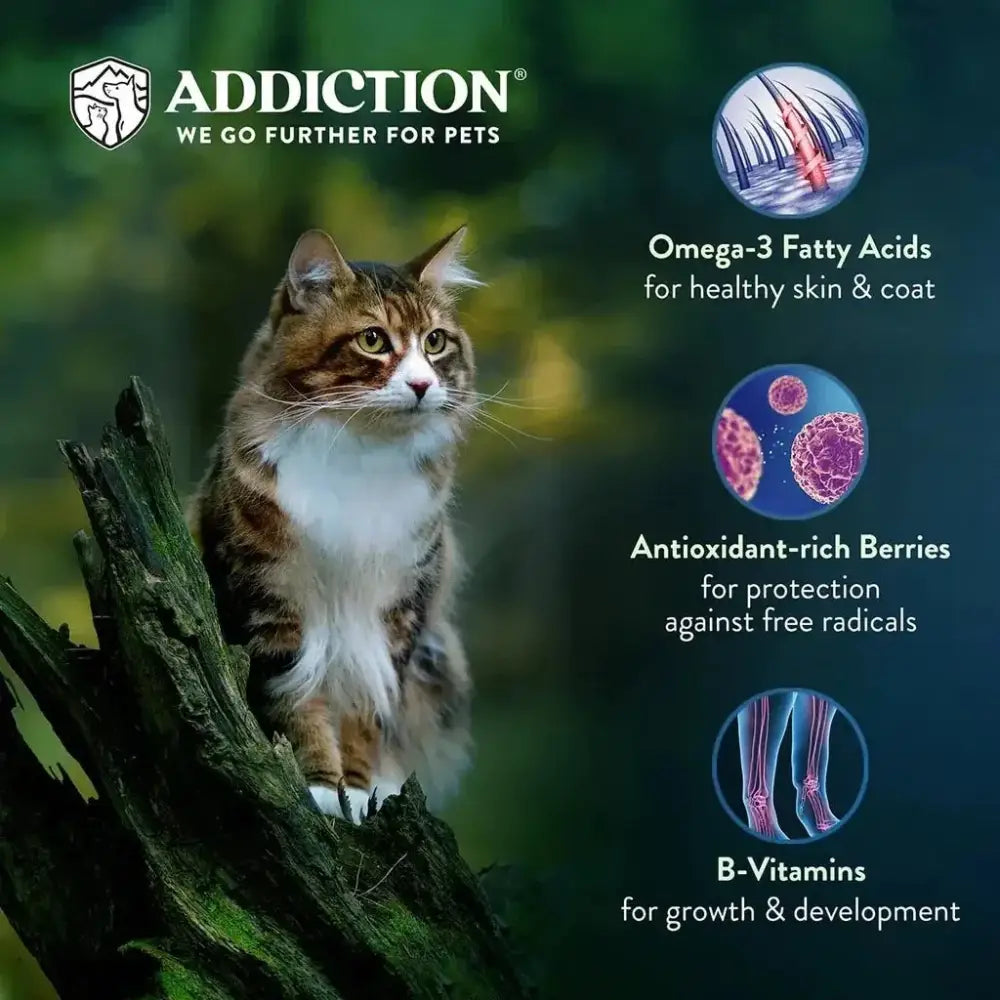 Addiction Grain - Free Duck Royale Dry Cat Food 4lb - Talis Us