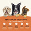 All Life Stages Dry Dog Food, Real Chicken & Potato Recipe - Talis Us