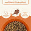 All Life Stages Dry Dog Food, Real Lamb & Ancient Grains Recipe - Talis Us