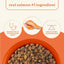 All Life Stages Dry Dog Food, Real Salmon & Ancient Grains Recipe - Talis Us