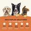 All Life Stages Dry Dog Food, Real Salmon & Ancient Grains Recipe - Talis Us
