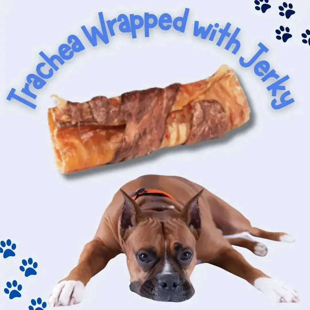 All Natural Water Buffalo Trachea Wrapped Jerky Treat for Dogs - Talis Us