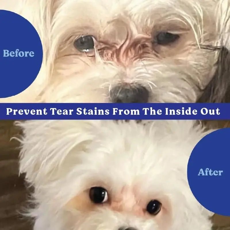 Angels' Eyes Natural Plus Tear Stain Beef Flavored Soft Chew Supplement for Dogs 90ct - Talis Us