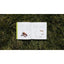Ants: A Visual Guide by Heather Campbell and Benjamin Blanchard - Talis Us