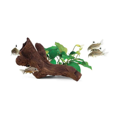 aquavitro Ceramic Hides Aquatic Ornament aquavitro