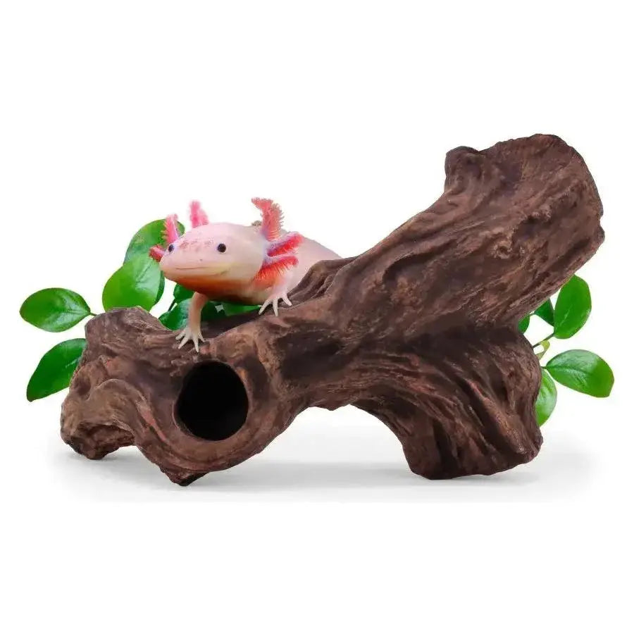 aquavitro Ceramic Hides Aquatic Ornament - Talis Us