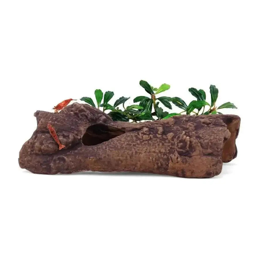 aquavitro Ceramic Hides Aquatic Ornament - Talis Us