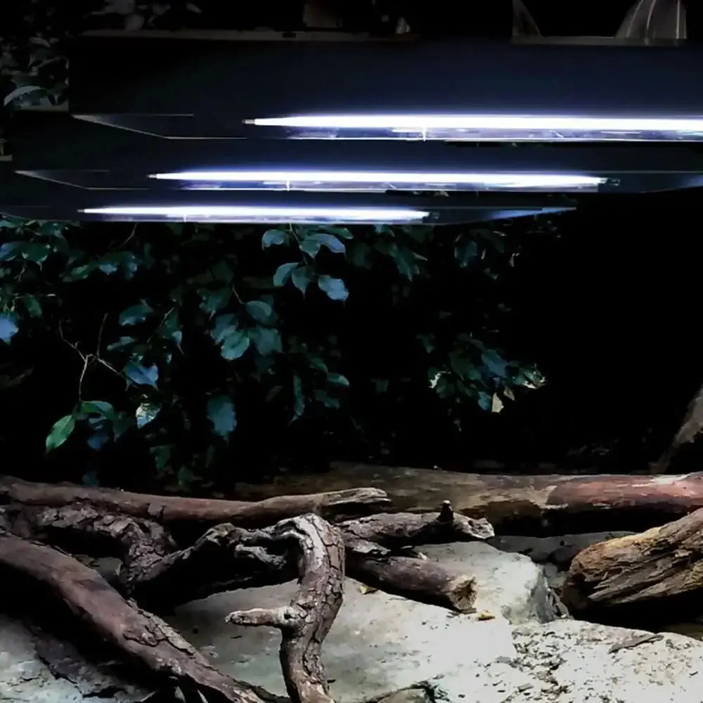 Arcadia ThermalZooPro LED Lighting Heating Luminaire installed in a naturalistic habitat setting