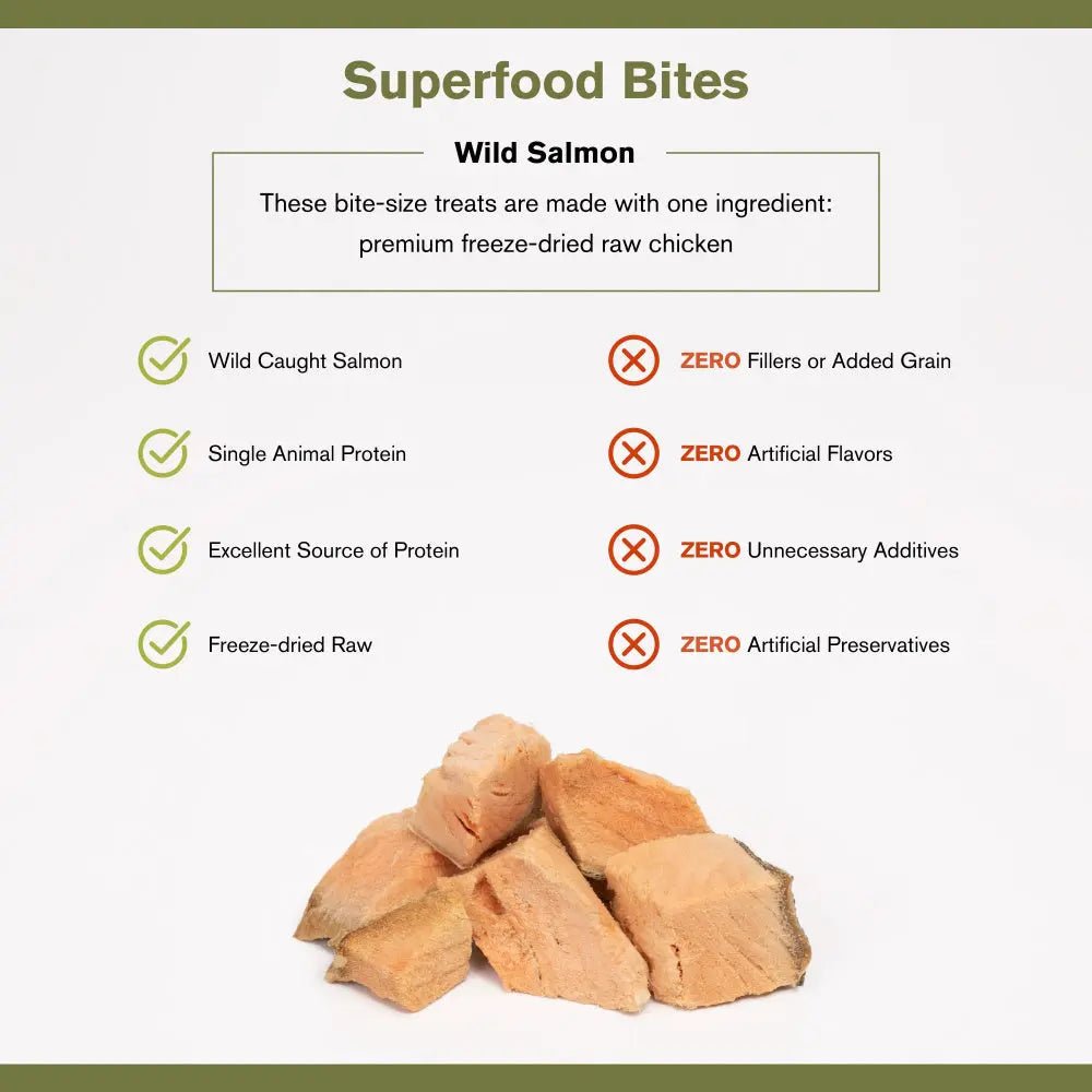 Badlands Ranch Salmon Grain - Free Freeze - Dried Raw Dog Treats 4oz - Talis Us