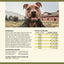 Badlands Ranch Superfood Complete Grain - Free Chicken Air - Dried Dog Food - Talis Us