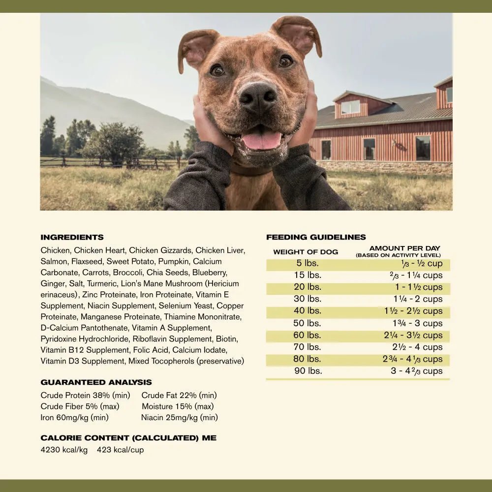 Badlands Ranch Superfood Complete Grain - Free Chicken Air - Dried Dog Food - Talis Us
