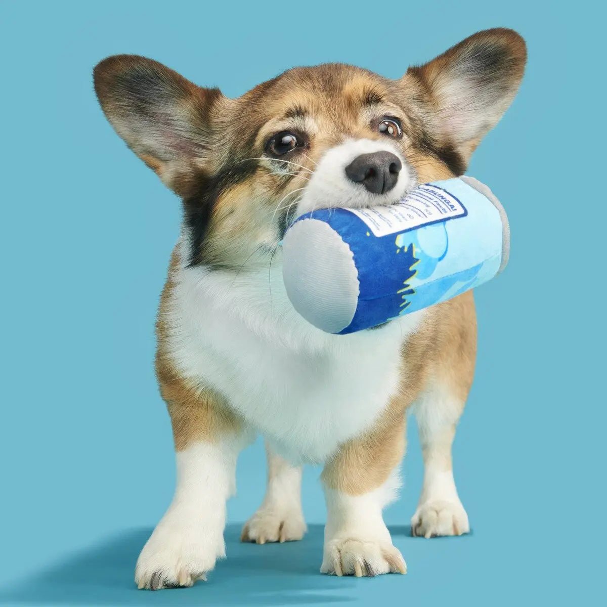 BARK Big Wag Beer Plush Dog Toy - Talis Us
