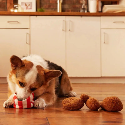 BARK Bucket O' Fried Licken Chicken Plush Dog Toy - Talis Us