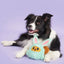 BARK Buddy The Nutty Bunny Easter Plush Dog Toy - Talis Us