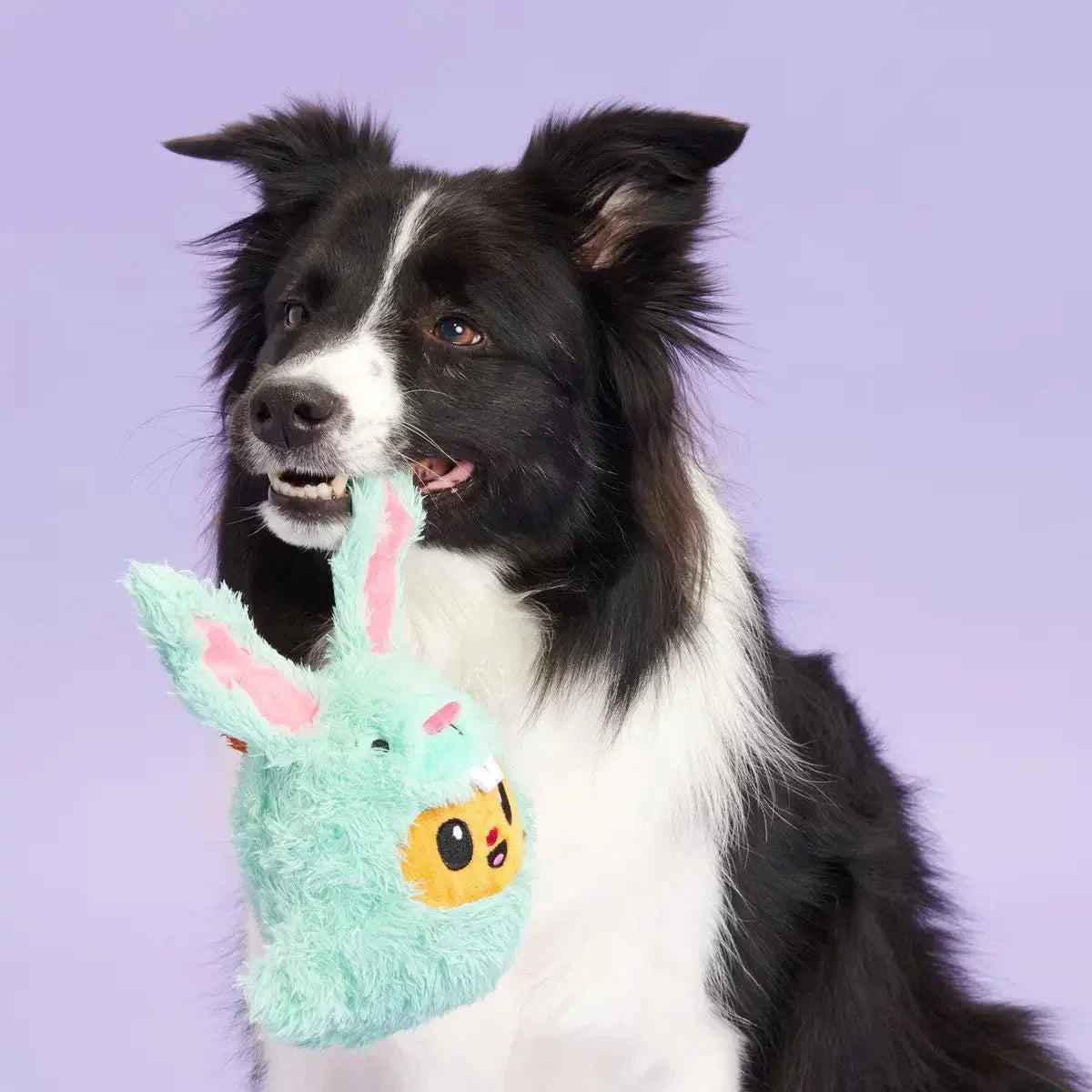 BARK Buddy The Nutty Bunny Easter Plush Dog Toy - Talis Us