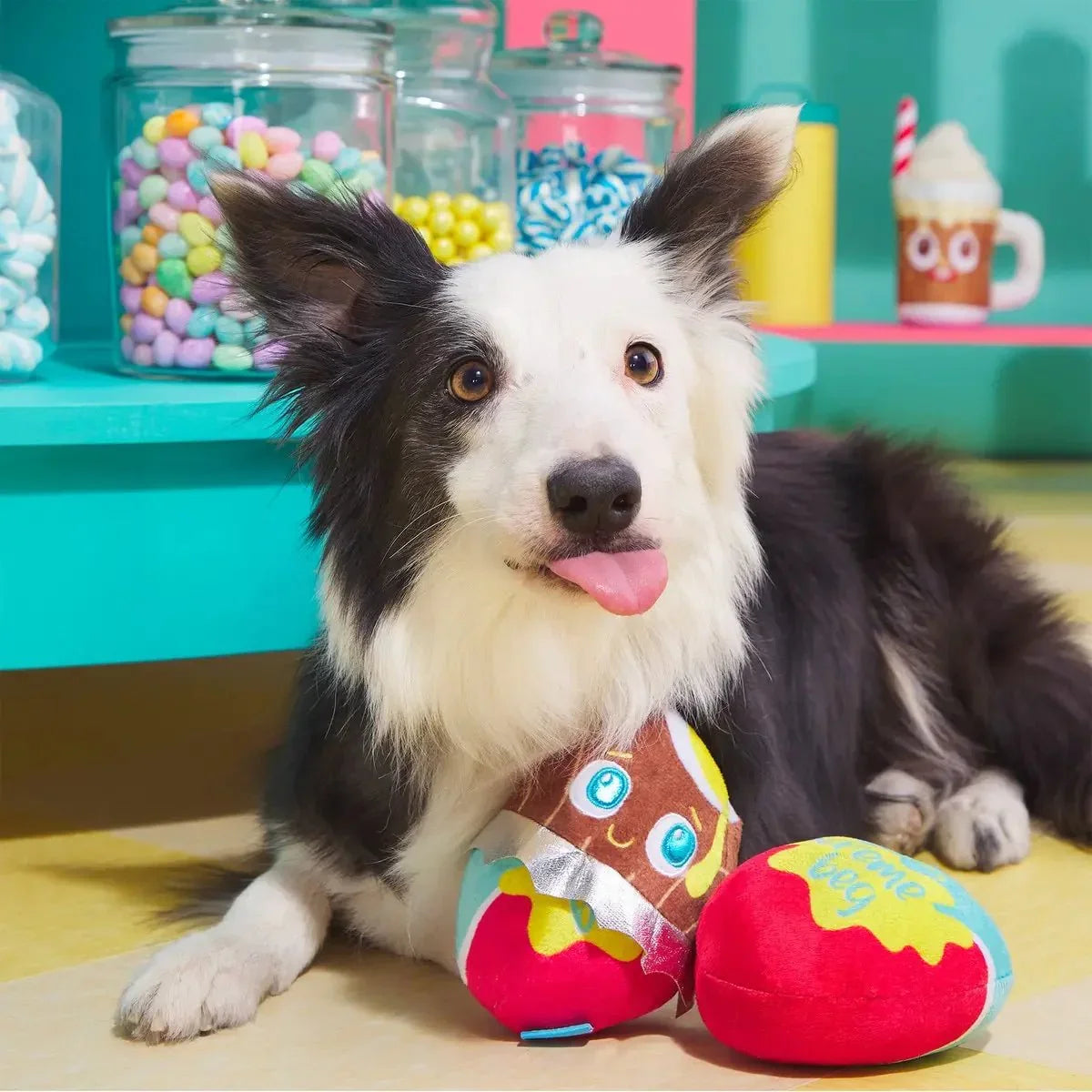 BARK Cadfurry Eggs Plush Dog Toy - Talis Us