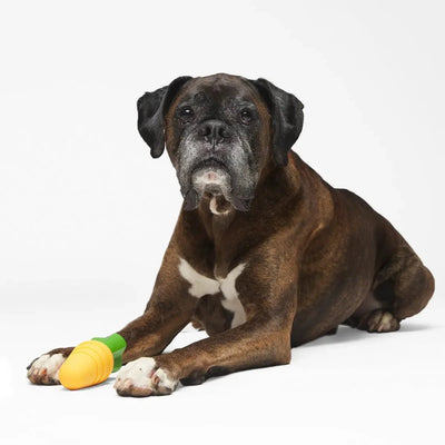 BARK Carrot Stick Dog Toys - Talis Us