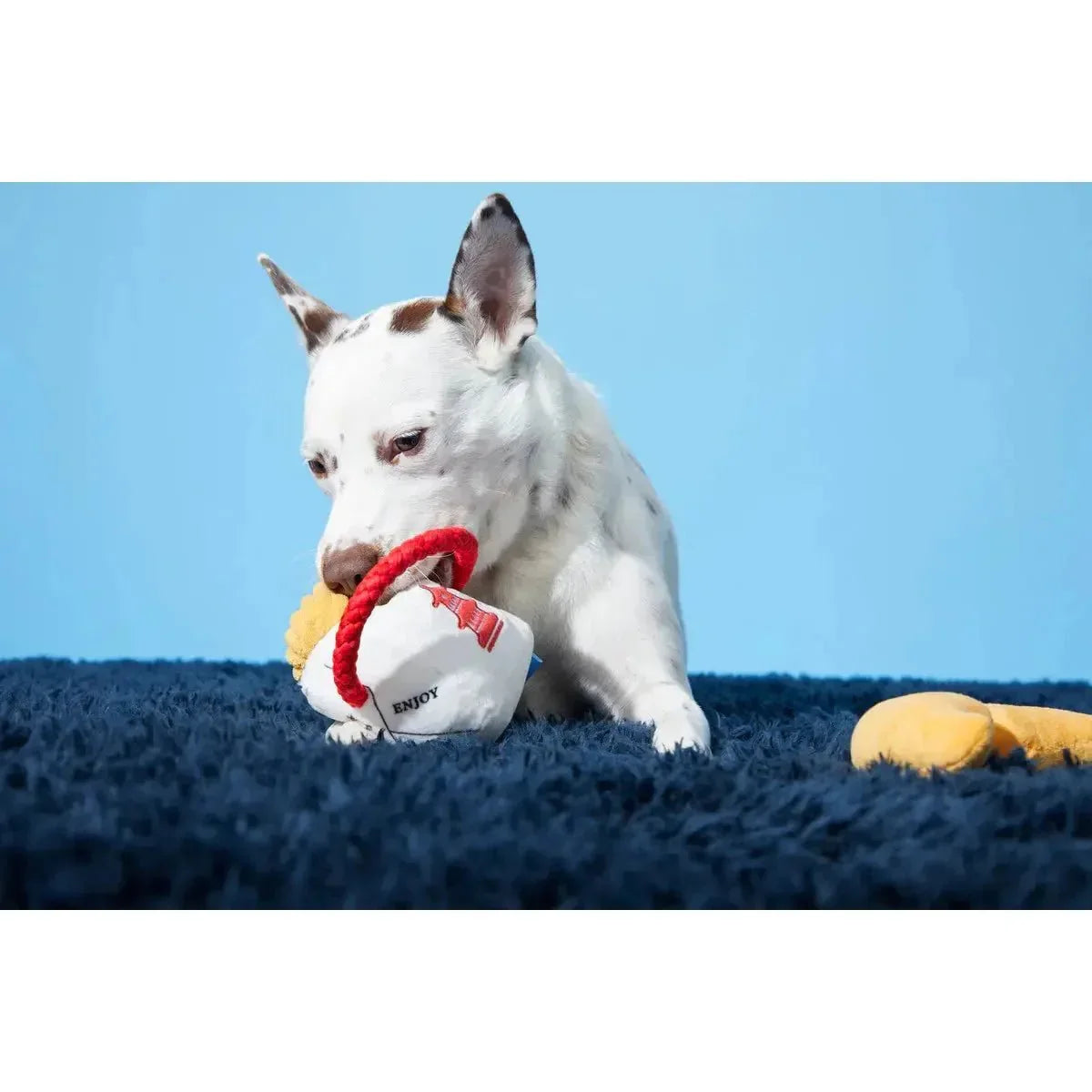 BARK Chew Mein & Furtune Cookie Dog Tpys - Talis Us