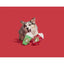 BARK Fa - La - La - Lattes Plush Dog Toy 2pc - Talis Us