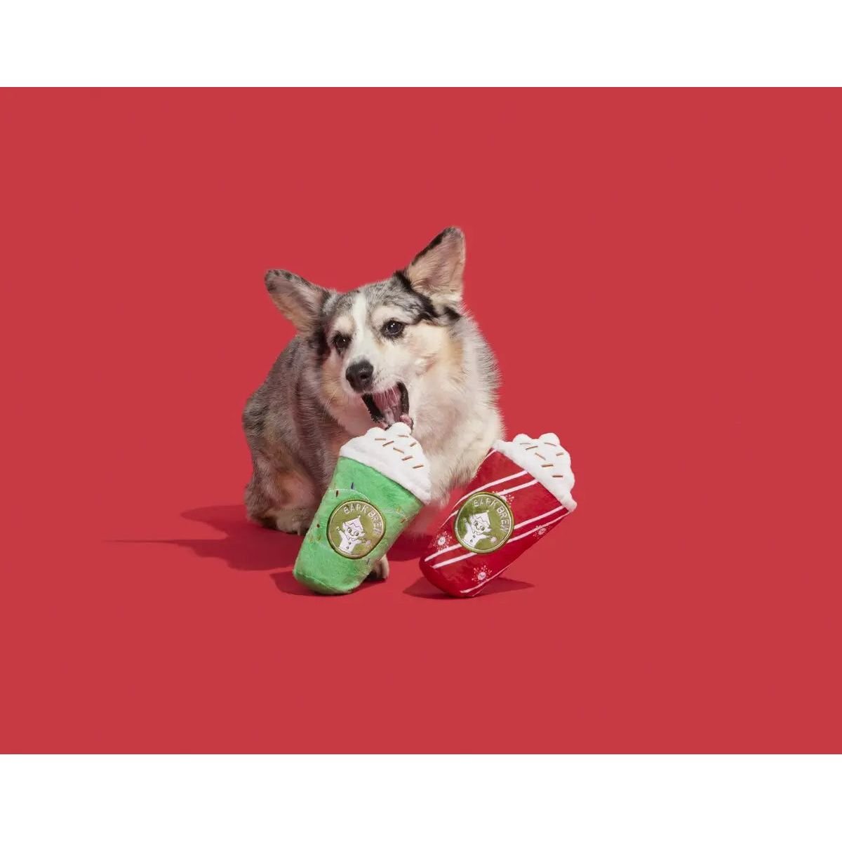 BARK Fa - La - La - Lattes Plush Dog Toy 2pc - Talis Us