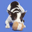 BARK Funfetchi Sniffwich Plush Dog Toy - Talis Us