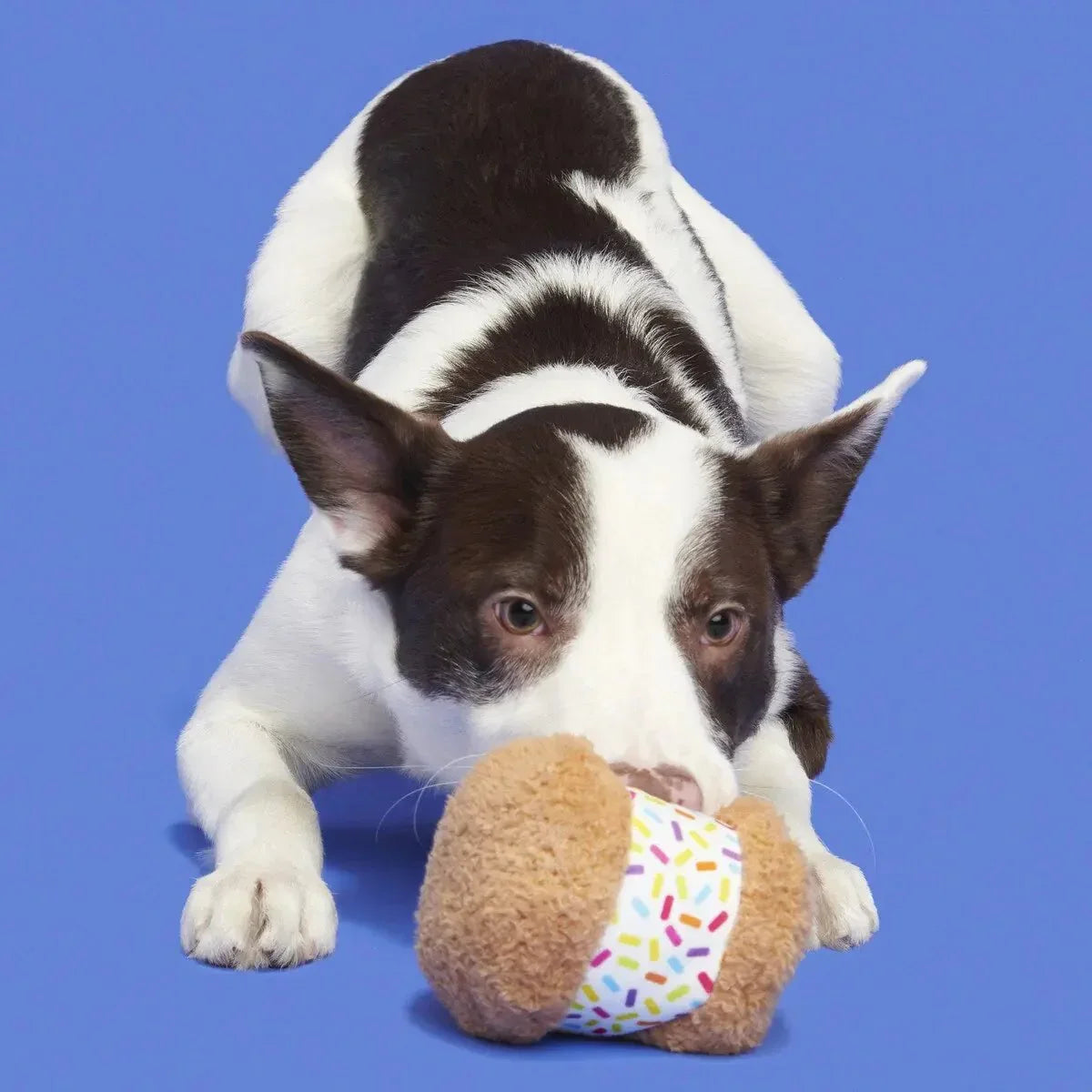 BARK Funfetchi Sniffwich Plush Dog Toy - Talis Us