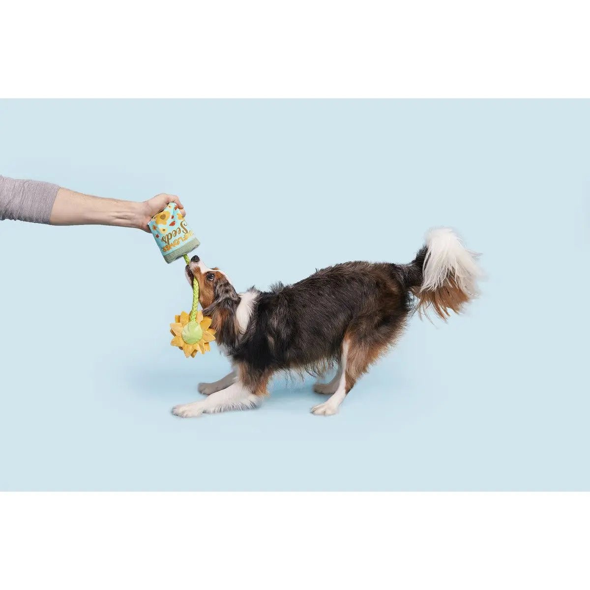 BARK Funflower Seeds Rope Dog Toy - Talis Us