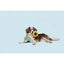 BARK Funflower Seeds Rope Dog Toy - Talis Us