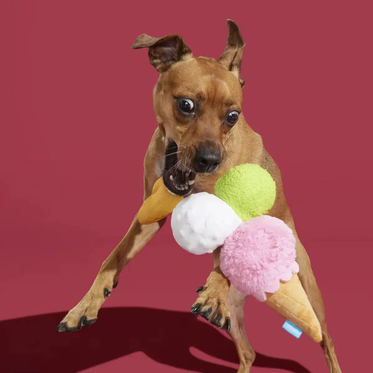 BARK Gelato della D'oggo Plush Dog Toy - Talis Us