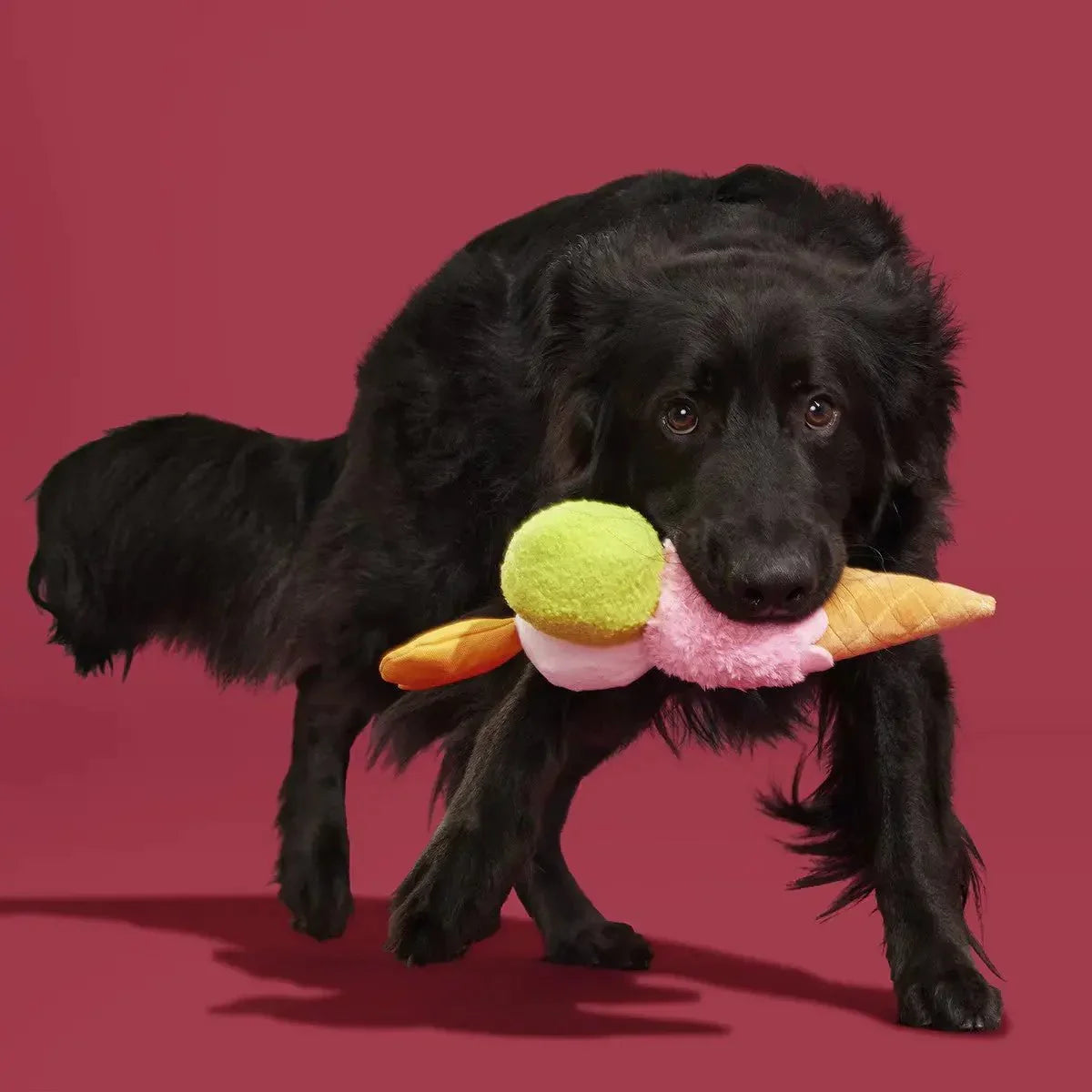 BARK Gelato della D'oggo Plush Dog Toy - Talis Us