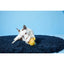 BARK Hair of the Dog Toys - Talis Us