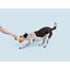 BARK Hairloom Tomatoes Rope Dog Toy - Talis Us
