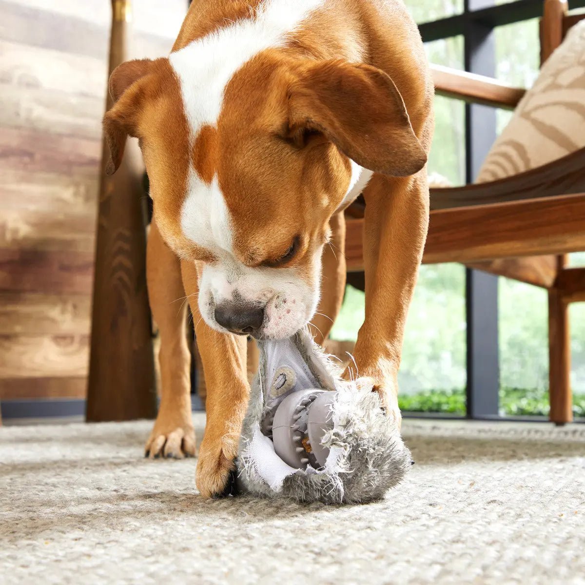 BARK Hare Raiser Rabbit Rubber Super Chewer Dog Toy Grey Medium/Large - Talis Us