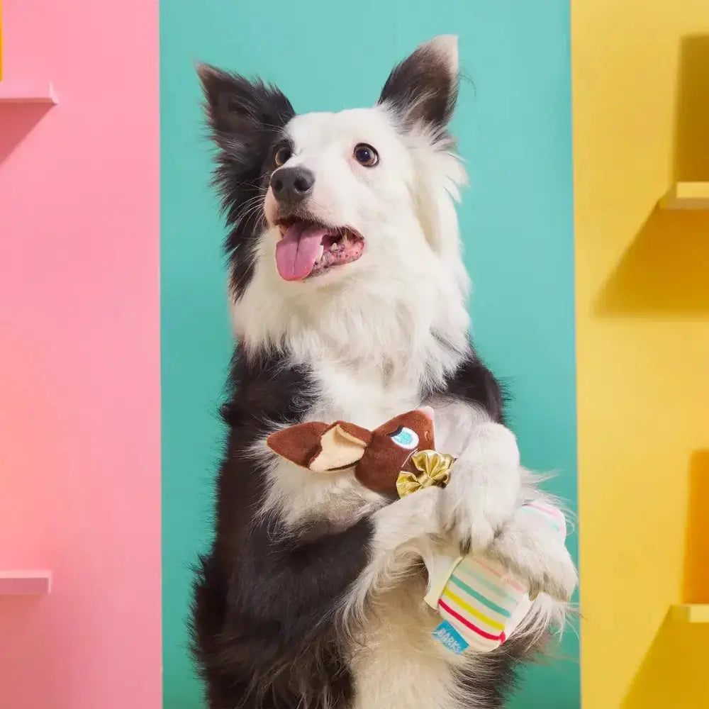 BARK Lil' Bunny Chew Chew Plush Dog Toy - Talis Us