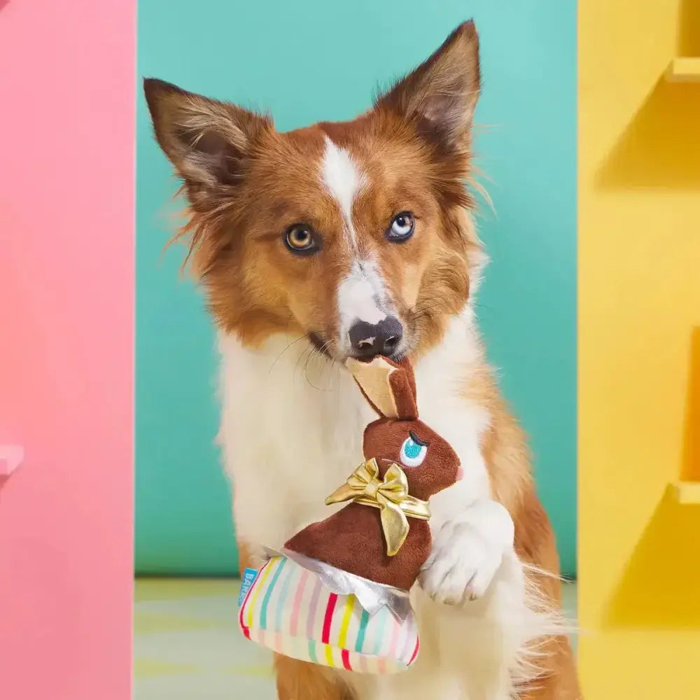 BARK Lil' Bunny Chew Chew Plush Dog Toy - Talis Us