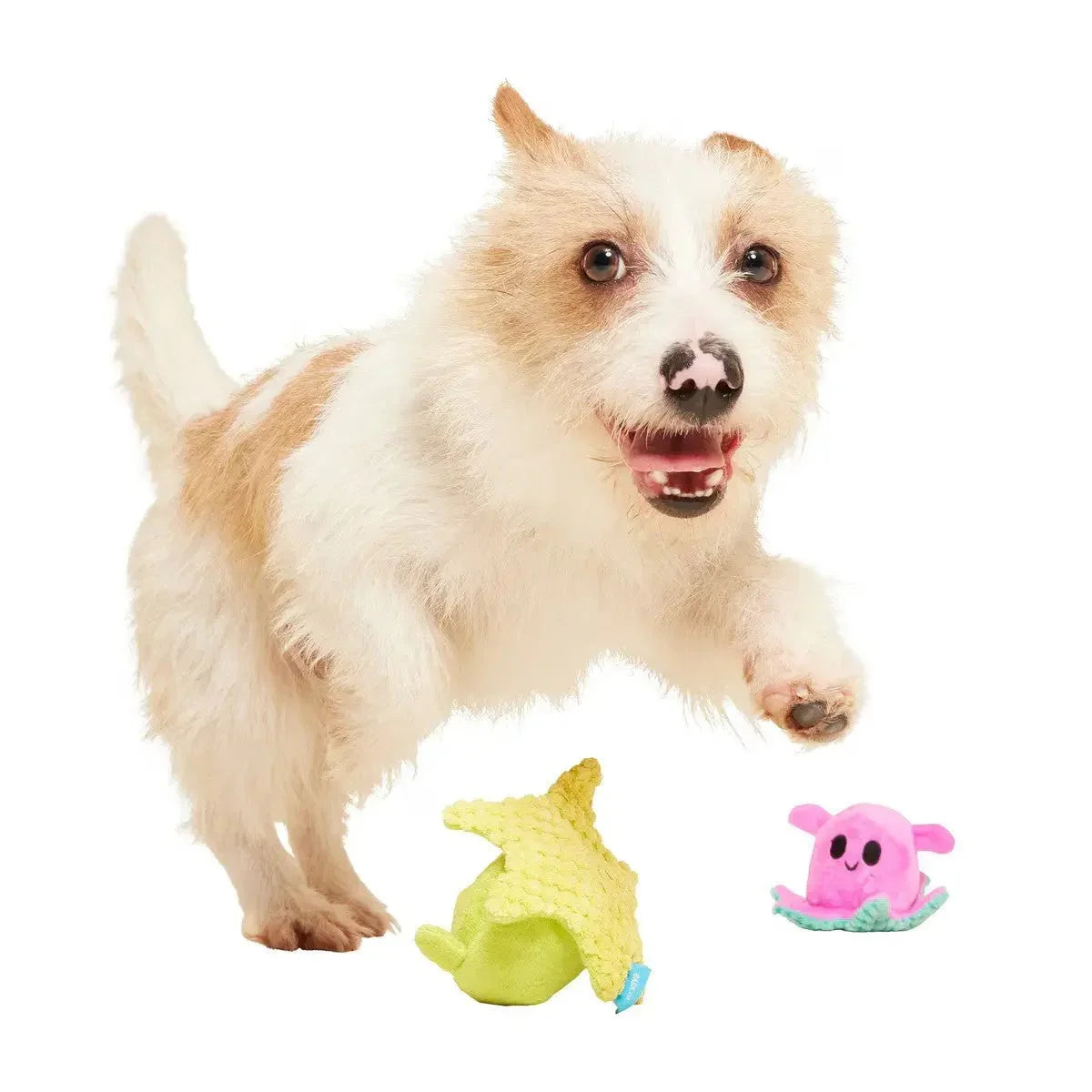 BARK Lil Squirts Squeaky Plush Dog Toy - Talis Us