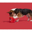 BARK Marshall & Coco Plush Dog Toy - Talis Us