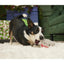 BARK Merry Chris - Mouse Rip & Reveal Super Chewer Dog Toy - Talis Us