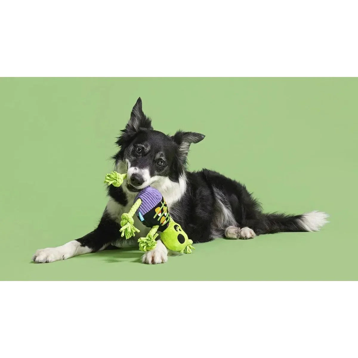 BARK Moldy Barry Bones Plush Dog Toy Small/Medium - Talis Us
