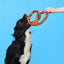 BARK Paula's Park Slope Pretzel Plush Dog Toy - Talis Us