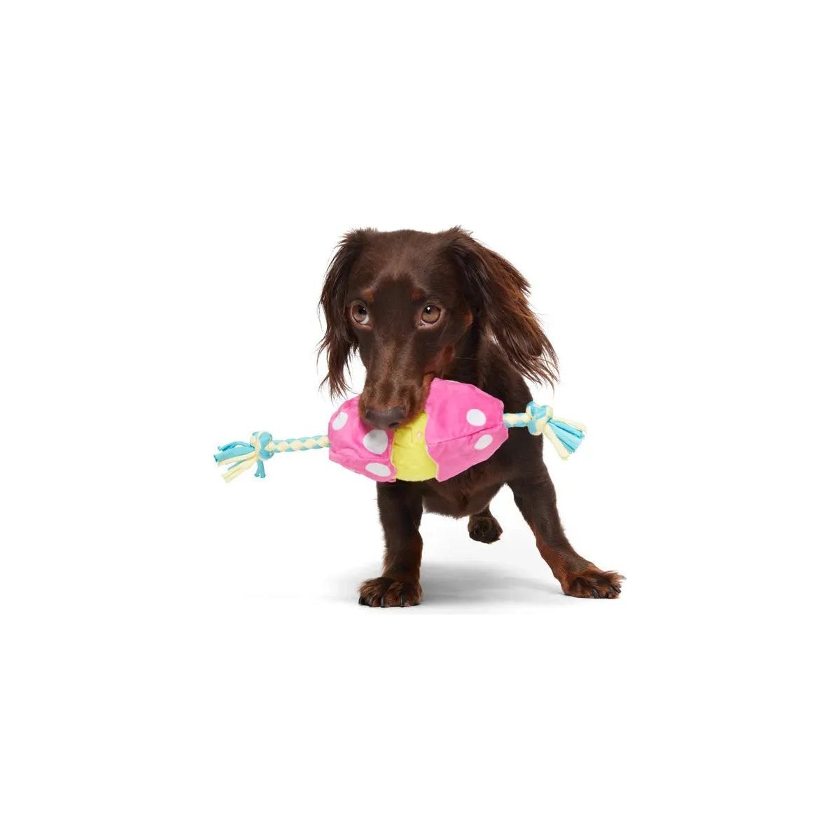 BARK Peep - A - Bird Plush Dog Toy - Talis Us
