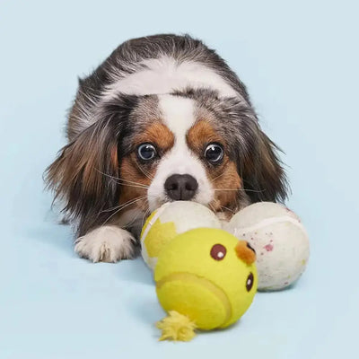 BARK Play Hatch Tennis Balls Dog Fetch Toy - Talis Us